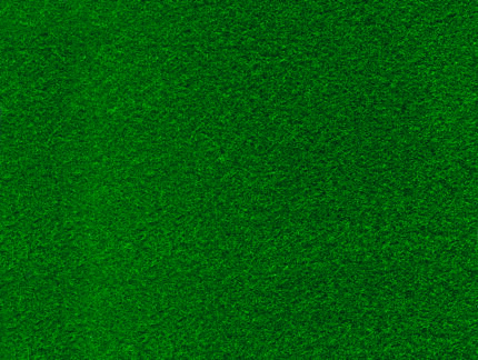 FO35 10 FEUILLES  FEUTRINE 150G/M² 20X30CM, VERT SAPIN N°58