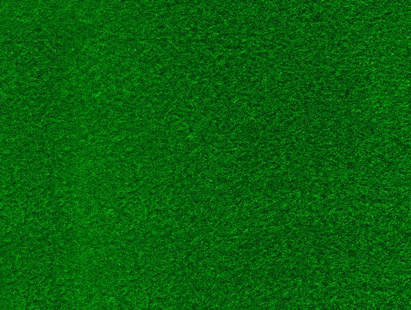 10 FEUILLES  FEUTRINE 150G/M² 20X30CM, VERT SAPIN N°58